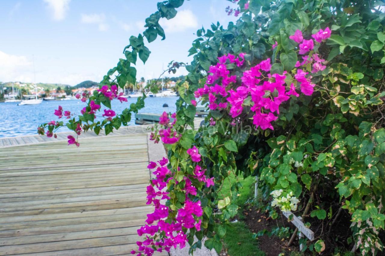 The Harbour Rodney Bay Exterior foto